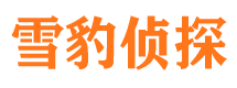 平川侦探公司